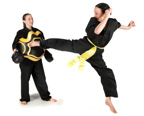Genesis Martial Arts Kung Fu