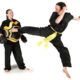 Genesis Martial Arts Kung Fu